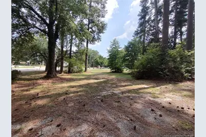 406 Courtland Drive, Sanford, NC 27330 - Photo 17