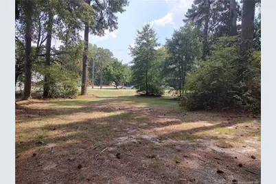 406 Courtland Drive, Sanford, NC 27330 - Photo 19