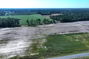 Tbd Cowpen Swamp Rd, Fairmont, NC 28340 - Photo 1