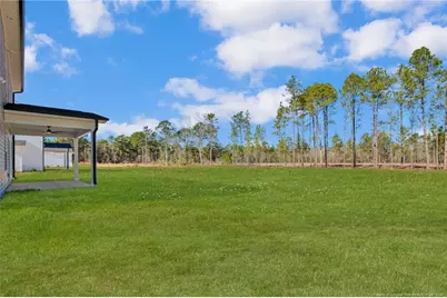 161 Merle Road, Pinebluff, NC 28373 - Photo 39