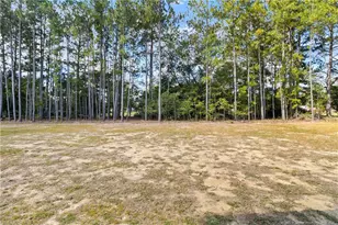 212 Nandina Rd, Raeford, NC 28376 - Photo 33