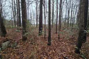 488 Green St, Parkton, NC 28371 - Photo 7