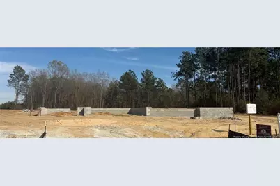 1959 Thomas Wood (Lot 94) Drive, Fayetteville, NC 28306 - Photo 3