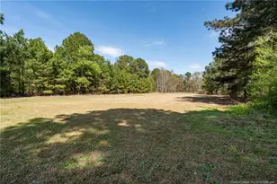 515 Mt Zion Rd, Red Springs, NC 28377 - Photo 39