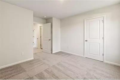 172 Phoenix Drive, Bunnlevel, NC 28323 - Photo 31