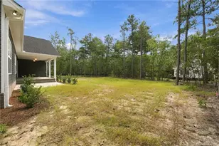 26820 Peach Orchard Rd, Wagram, NC 28396 - Photo 43