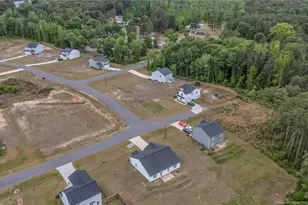 64 Dalmation Ln, Parkton, NC 28371 - Photo 47
