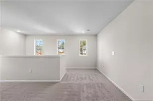 38 Meadows Ln, Bunnlevel, NC 28323 - Photo 17