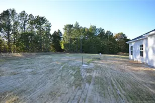 230 D L Phillips Ln Lot 2, Broadway, NC 27505 - Photo 35