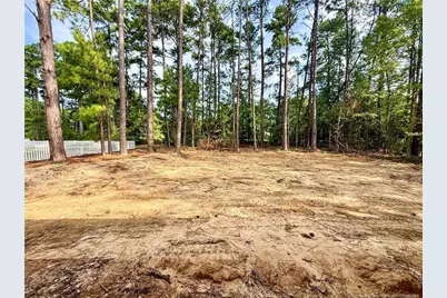 159 Laurel Oak Lane, Pinebluff, NC 28373 - Photo 7