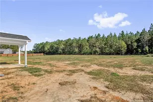 347 Thorntons Creek Dr, Erwin, NC 28339 - Photo 35