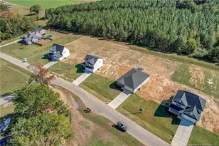 365 Thorntons Creek Dr, Erwin, NC 28376 - Photo 31