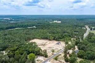 17260 Palmer Rd, Marston, NC 28363 - Photo 33