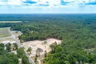 17260 Palmer Rd, Marston, NC 28363 - Photo 31