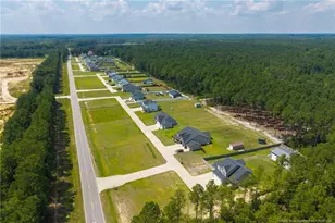 152 Josey Williams Rd, Erwin, NC 28339 - Photo 41