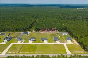 152 Josey Williams Rd, Erwin, NC 28339 - Photo 39
