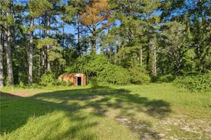 15861 Palmer Rd, Marston, NC 28363 - Photo 35