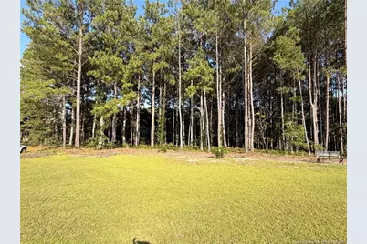 101 Heavens Gate Court, Sanford, NC 27332 - Photo 35