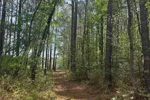 490 Springhill Church Rd, Hamlet, NC 28345 - Photo 27