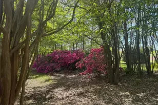 490 Springhill Church Rd, Hamlet, NC 28345 - Photo 23