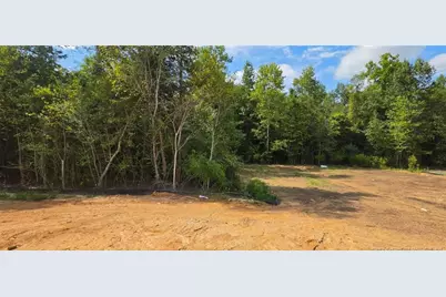 104 Sugarcone Court, Lillington, NC 27546 - Photo 3