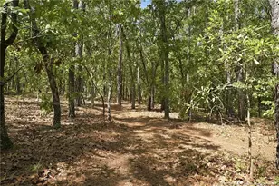 29801 Peach Orchard Rd, Wagram, NC 28396 - Photo 43