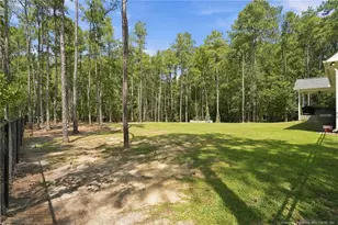 29801 Peach Orchard Rd, Wagram, NC 28396 - Photo 41
