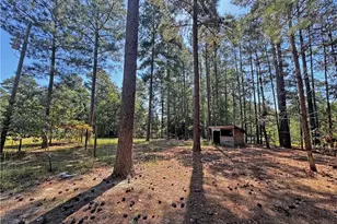 265 Dewey Dr, Vass, NC 28315 - Photo 43