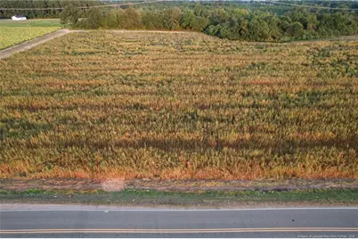 00 Daniels (Lot 2) Road, Dunn, NC 28334 - Photo 15