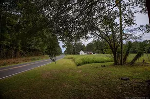 799 Cain Rd, Saint Pauls, NC 28384 - Photo 31