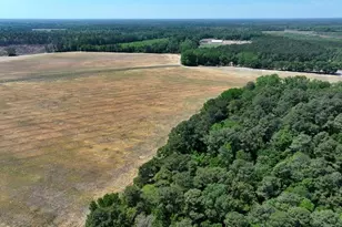 Tbd N Duffie Rd, Red Springs, NC 28377 - Photo 5