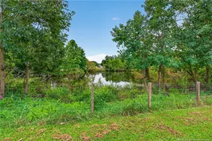 525 Daylily Ct, Carthage, NC 28327 - Photo 43