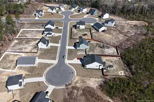 370 Bulldawg Ln, Raeford, NC 28376 - Photo 39