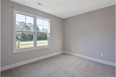 372 Josey Williams Road, Erwin, NC 28339 - Photo 13