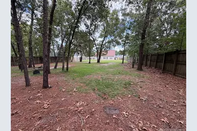 224 Fallingleaf Drive, Raeford, NC 28376 - Photo 25