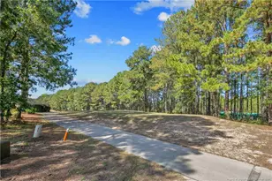 217 Lamplighter Way, Spring Lake, NC 28390 - Photo 11