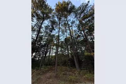 00000 Bee Tree Lane, Wagram, NC 28396 - Photo 5