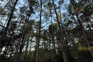 00000 Bee Tree Ln, Wagram, NC 28396 - Photo 5