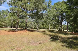 6 Wisteria Way, Carthage, NC 28327 - Photo 41