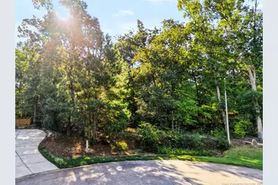 Tbd Panners Place, Sanford, NC 27330 - Photo 3