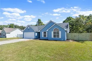 141 Chapel Hill Dr, Raeford, NC 28376 - Photo 3