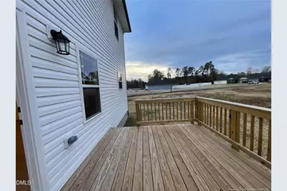 193 Falls Of The Cape Drive, Lillington, NC 27546 - Photo 19