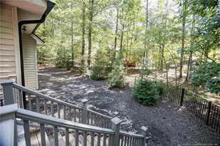 3046 Creek Run, Sanford, NC 27332 - Photo 27