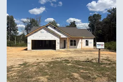 1120 Wallace McLean Road, Raeford, NC 28376 - Photo 1