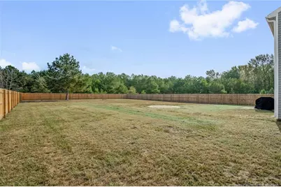 4993 Blue Springs Road, Red Springs, NC 28377 - Photo 3