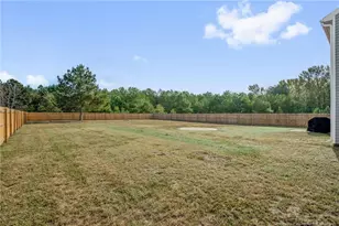4993 Blue Springs Rd, Red Springs, NC 28377 - Photo 3