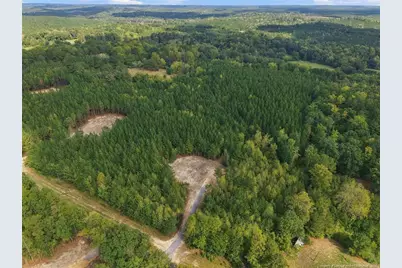 Lot 5 Capelsie Road, Candor, NC 27229 - Photo 3