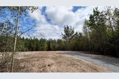 Lot 5 Capelsie Road, Candor, NC 27229 - Photo 5