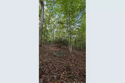 Lot 5 Capelsie Road, Candor, NC 27229 - Photo 7
