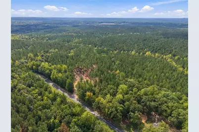 Lot 1 Capelsie Road, Candor, NC 27229 - Photo 3